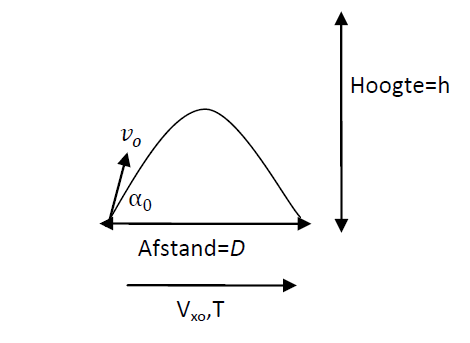vector_4_8_1