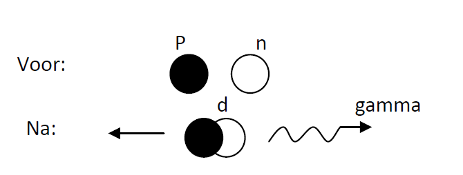 vector_9_10_1_1