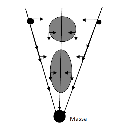 vector_8_1_1